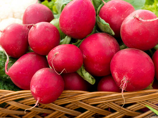 Spring radish in basket