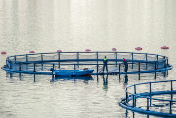 Cages for fish farming