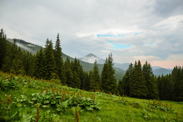 Carpathians mountains, Ukraine