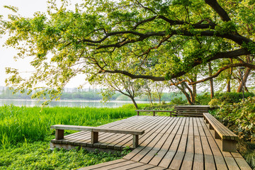 Fototapeta premium wooden walkway and green natural scenery in the summer