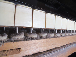 keyboard piano system