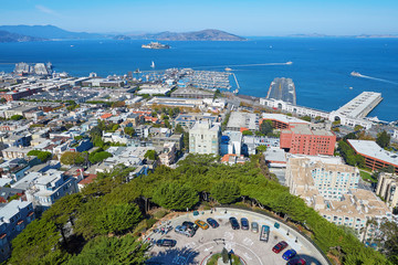 cityscape of san Francisco seen from Coit tower, California, USA - obrazy, fototapety, plakaty