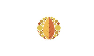 Four Seasons Logo Template