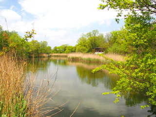 サンクチュアリーのある池風景