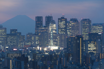 Fototapeta na wymiar 富士山と新宿高層ビル群　トワイライト　マジックアワー