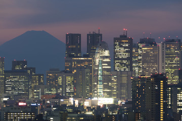 富士山と新宿高層ビル群　トワイライト　マジックアワー