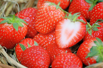 Fresh strawberries