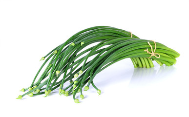 Onion flower isolated on a white background