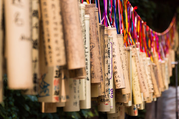 Bamboo with wishes written on them, Taiwan