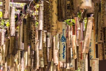Küchenrückwand glas motiv Bamboo with wishes written on them, Taiwan © Perry Svensson