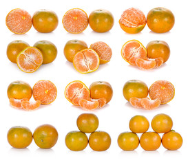 set of tangerine on white background