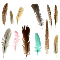 Bright feathers background