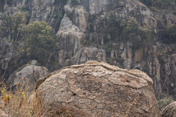 Una piedra en el desierto rocoso. 