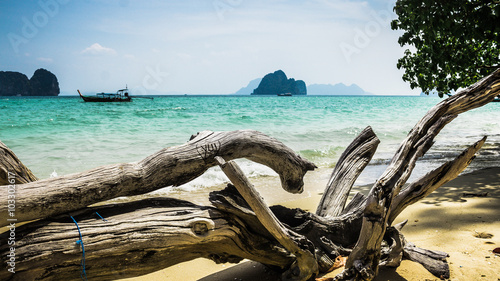 "Holz vor Strandpanorama" Stockfotos und lizenzfreie Bilder auf Fotolia