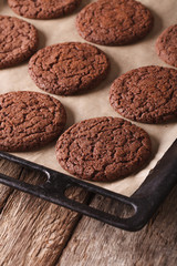 Freshly baked chocolate gingerbread cookies on the baking sheet. vertical 
