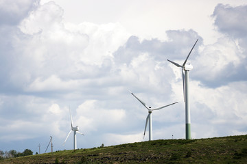 Wind energy generator