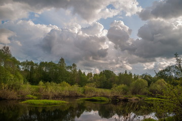 Fototapeta na wymiar The river Cheryoha of Pskov region, Russia. 