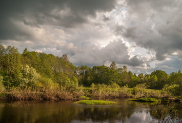 The river Cheryoha of Pskov region, Russia.
