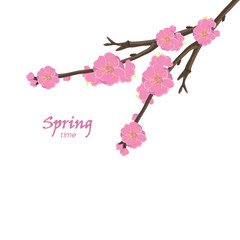Greeting card with flower plum and inscription - Spring time
