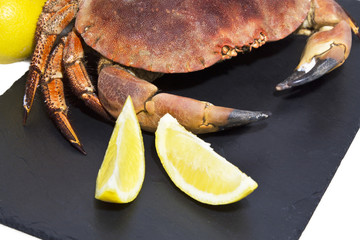 Crab on plate tile