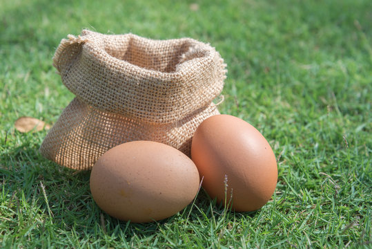 Sack fresh egg on a green grass