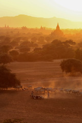 Obraz premium Pagodas in Myanmar during sunset