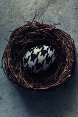 Easter Egg in bird nest