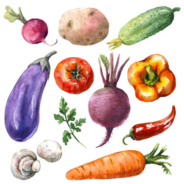 Various Vegetables Set