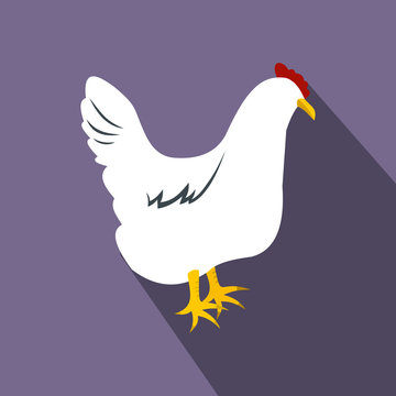 White hen flat icon 