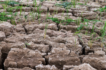 Cracks in the desert, Phnom Penh Cambodia Jan 2016