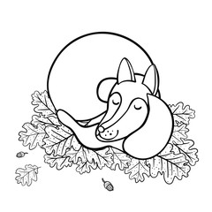 Cute cartoon sleeping fox on oak leaves