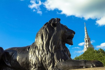 Barbary lion at Trafalgar Square, London
