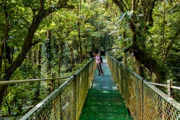 Hanging Bridges in Cloudforest - Costa Rica