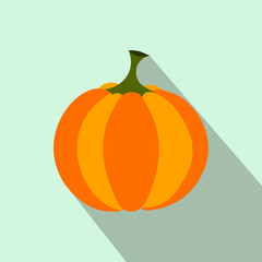 Pumpkin flat icon