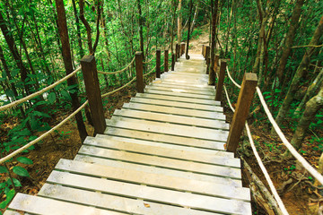 staircase made with wooden steps in jungle