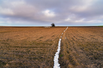 Zaorane pole © podlaski49
