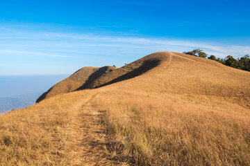 dry grass on the mountain with blue sky at doi monjong