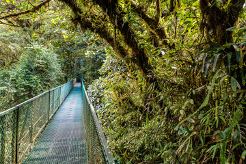 Naklejka na ściany i meble Hanging Bridges in Cloudforest - Monteverde, Costa Rica