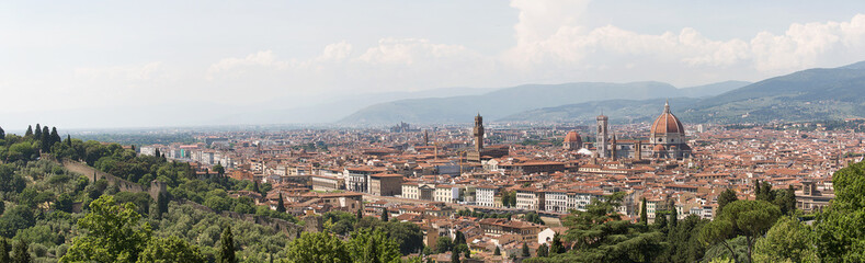 Fototapeta na wymiar Panoramic view of Florence