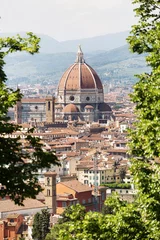 Foto op Canvas Panoramic view of Florence © Steve Lovegrove