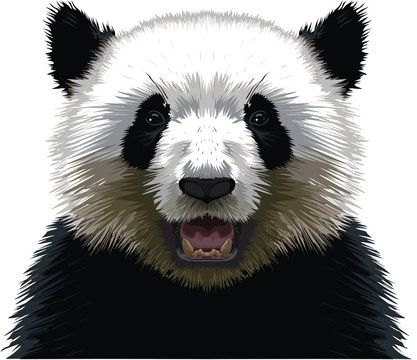 Panda Face Images – Browse 34,795 Stock Photos, Vectors, and Video | Adobe  Stock