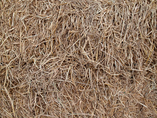Dry straw macro shot.