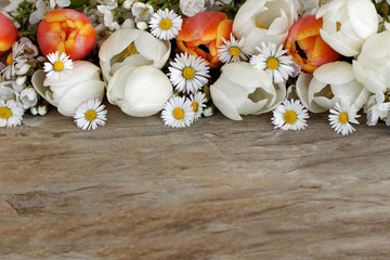 Tulpen mit Textfreiraum