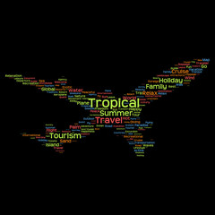 Conceptual travel or tourism plane word cloud