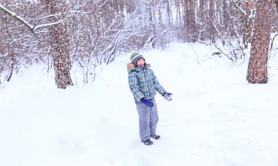 little boy loves winter