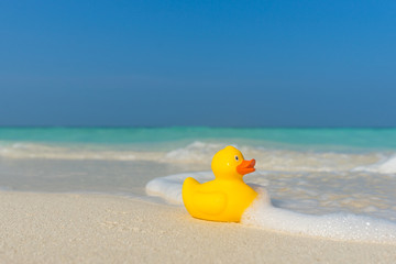 Yellow duck on the tropical beach. Concept travel and vacation
