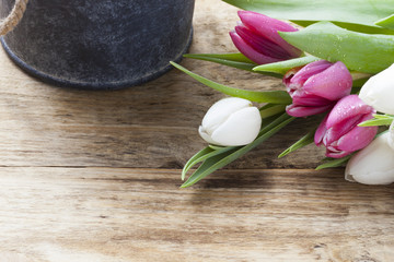 purple tulip spring concept on vintage tray and wooden table