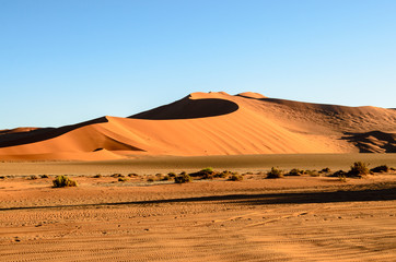 Fototapeta na wymiar Natural beauty of the Namib