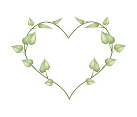 Fresh Green Leaves in Beautiful Heart Shape