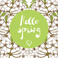 Spring season welcoming, season greetings. Handwritten text "Hello spring". Handmade custom text placed on blossoming background. Modern vector card template. Layered for easy editing. 